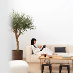 Olivo Artificial Centennial 180 cm MAIA SHOP lifestyle 