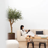 Olivo Artificial Centennial 180 cm MAIA SHOP lifestyle 