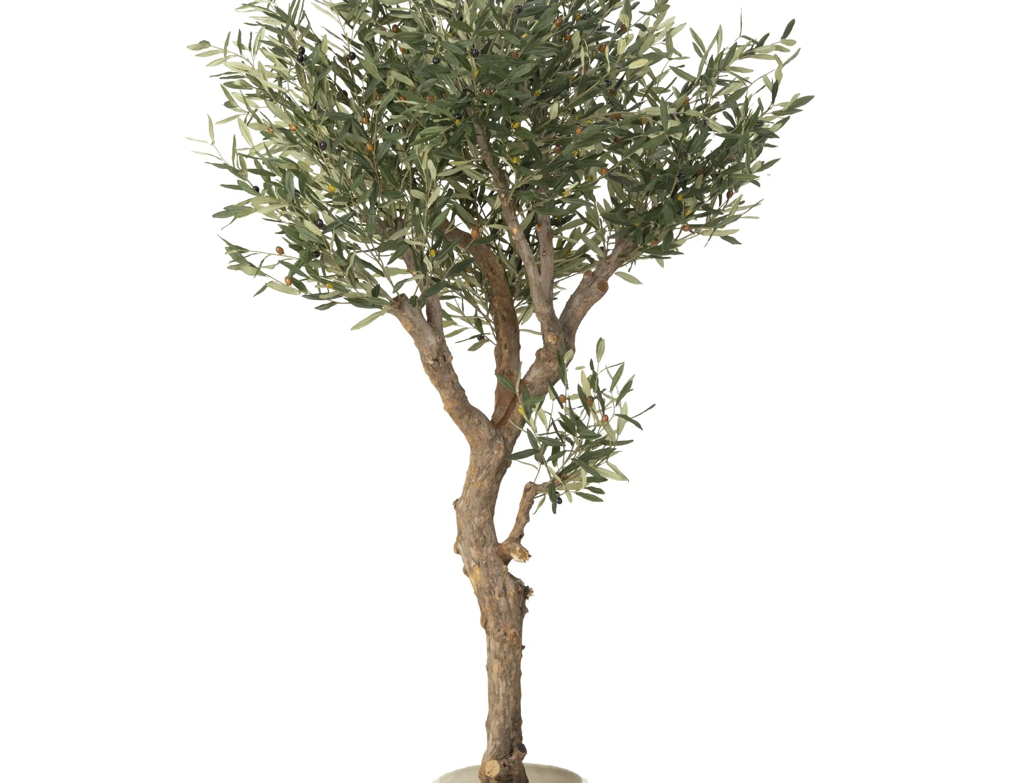 Olivo Artificial Centennial 210 cm