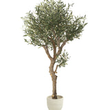 Olivo Artificial Centennial 210 cm