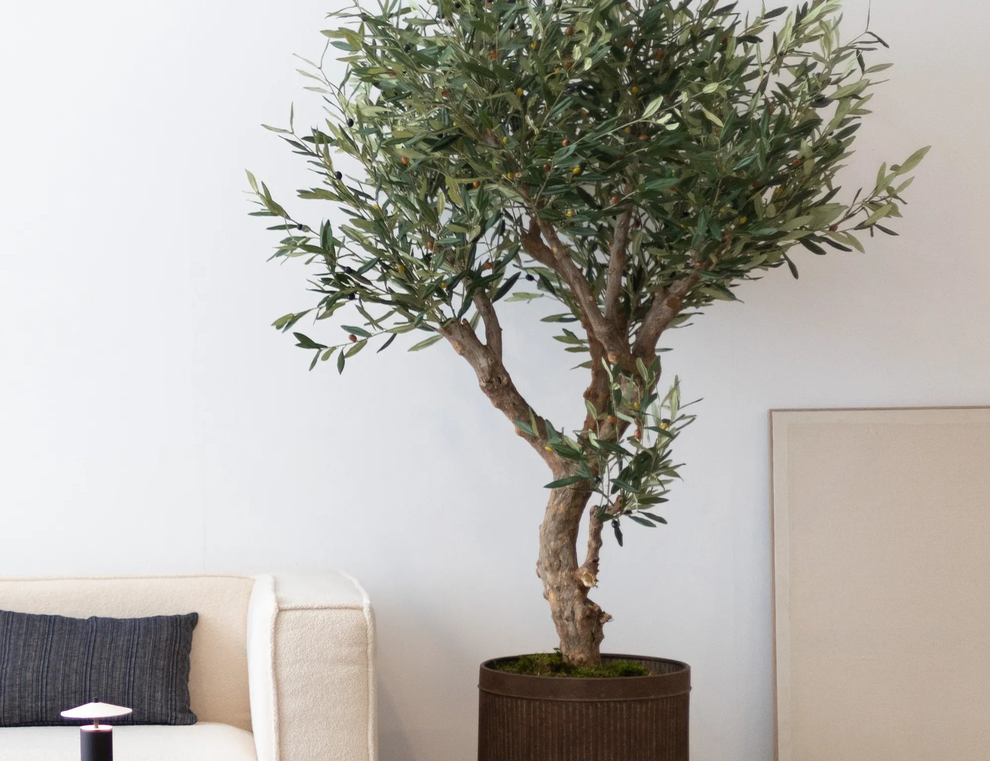 Olivo Artificial Centennial 210cm