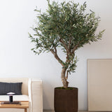 Olivo Artificial Centennial 210cm