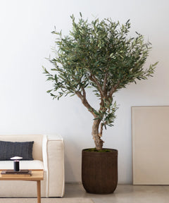 Olivo Artificial Centennial 210cm