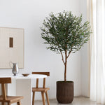 Olivo Artificial Centennial 220 cm