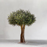 Olivo Artificial MAIA SHOP 180cm