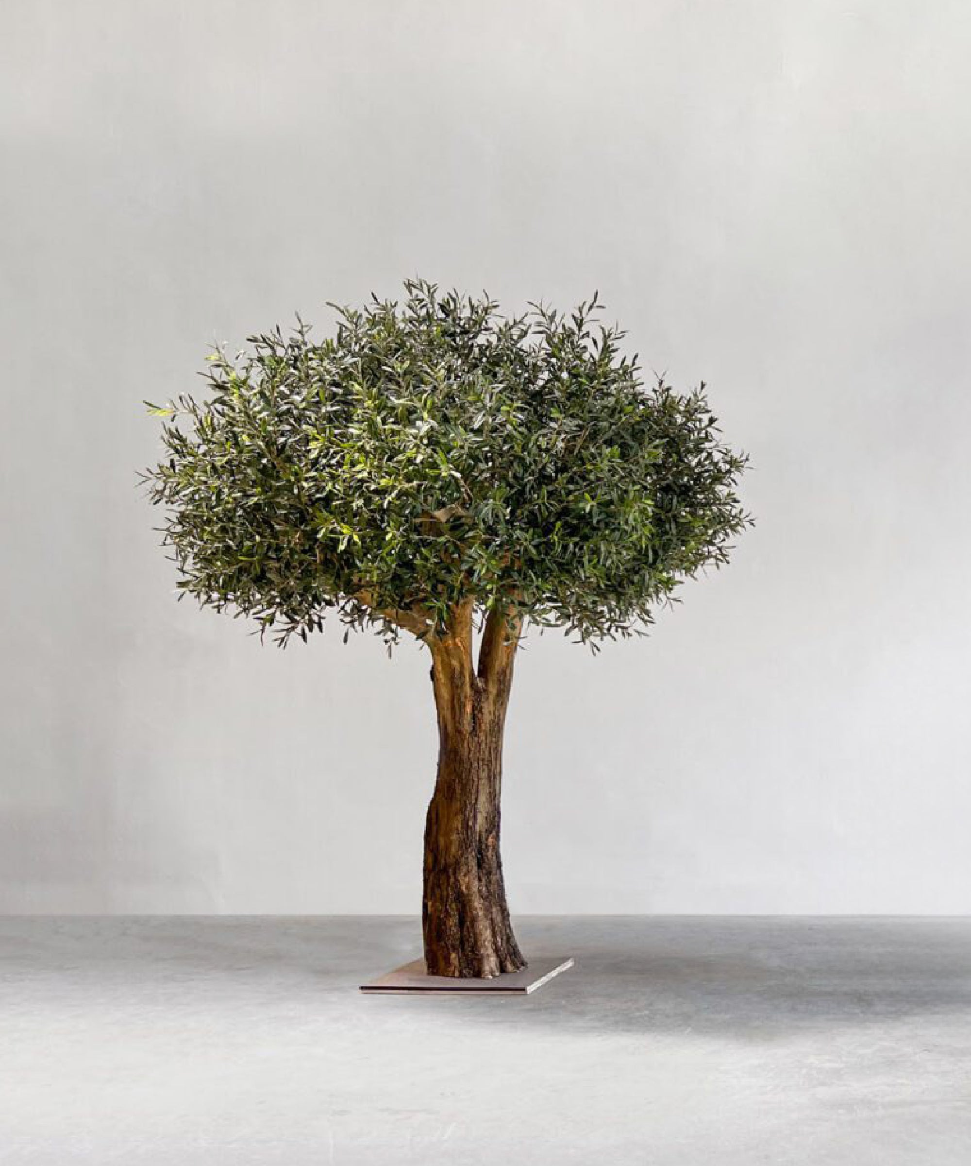Olivo Artificial MAIA SHOP 180cm