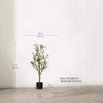 Olivo Minimal MAIA SHOP 105 cm 