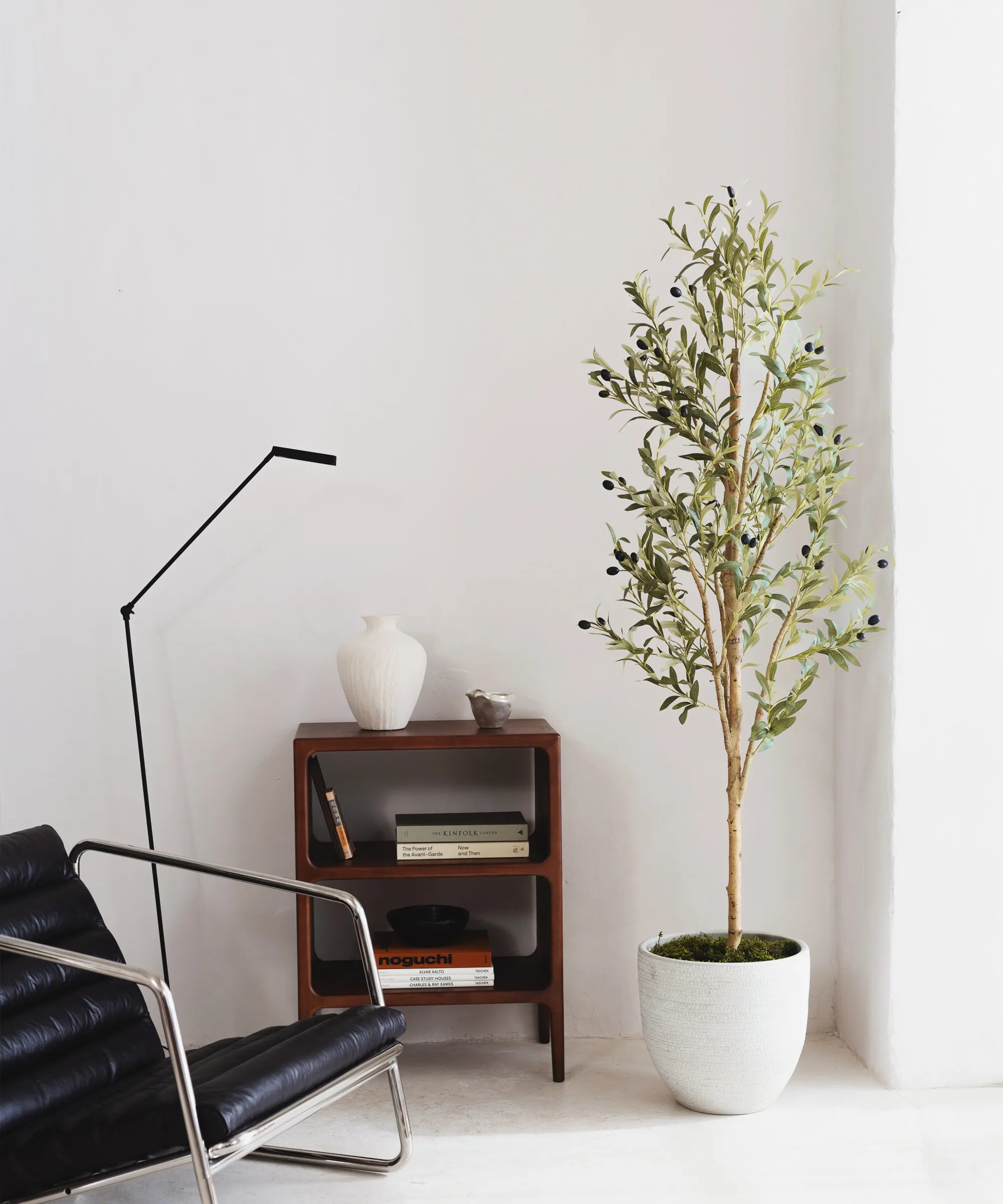 Olivo Minimal MAIA SHOP Recepción