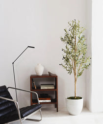 Olivo Minimal MAIA SHOP Recepción