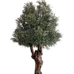 Olivo artificial 3,20 m MAIA SHOP