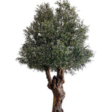 Olivo artificial 3,20 m MAIA SHOP