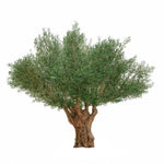 Olivo artificial 3,20 m MAIA SHOP