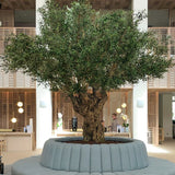 Olivo artificial 3,20 m MAIA SHOP Hotel