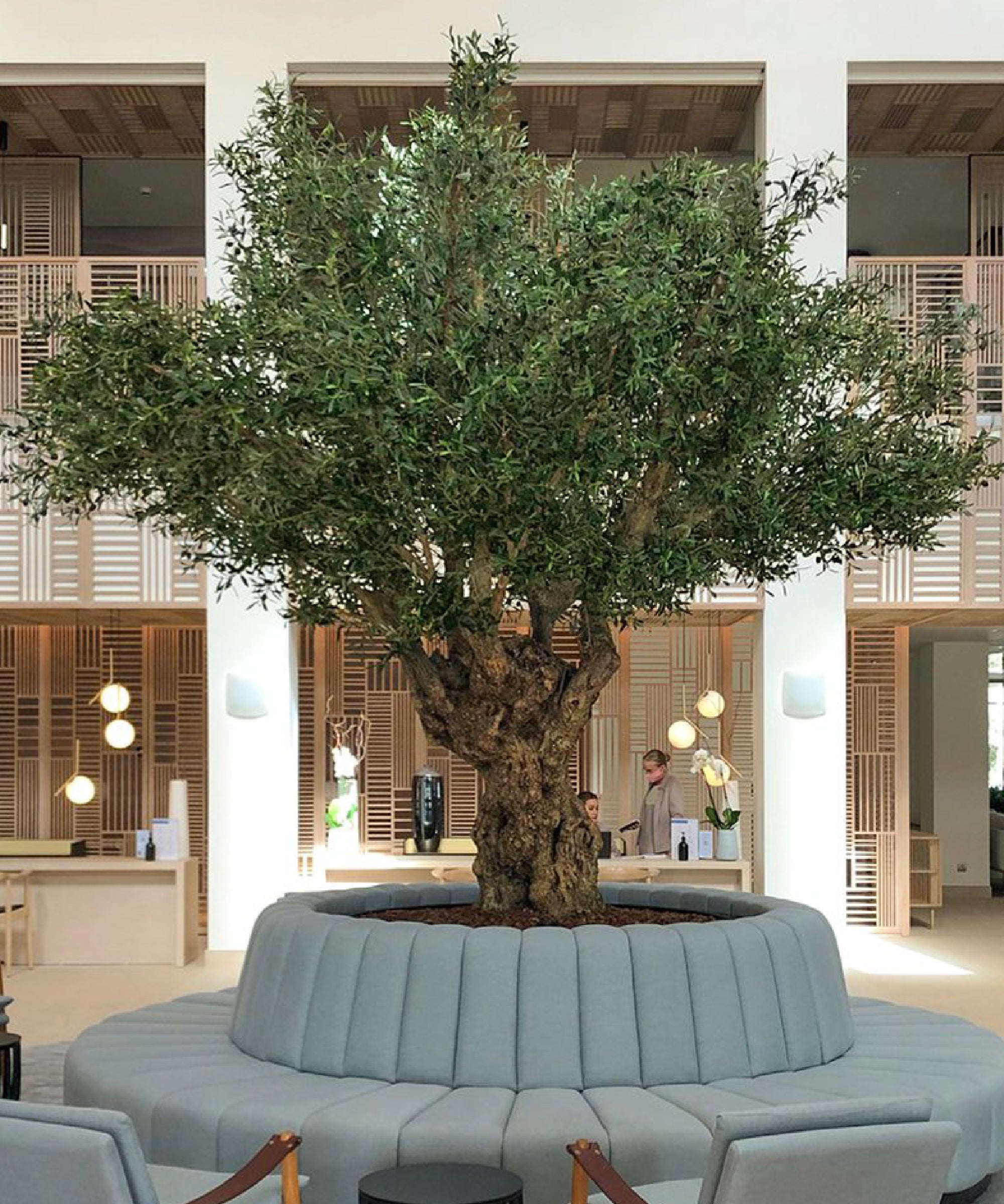 Olivo artificial 3,20 m MAIA SHOP Hotel