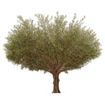 Olivo artificial 8 m MAIA SHOP