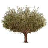 Olivo artificial 8 m MAIA SHOP