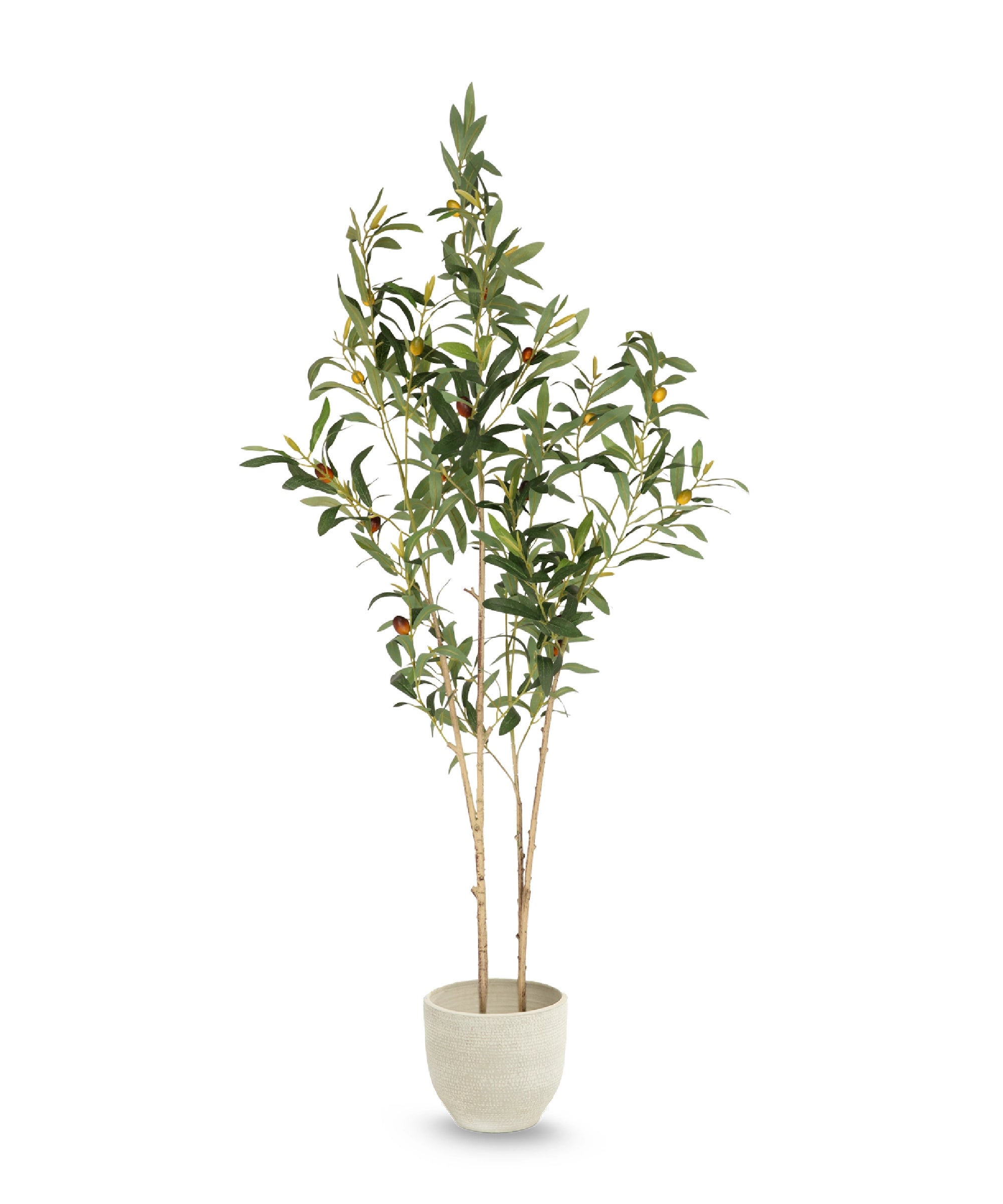 Olivo artificial Flair 150 cm MAIA SHOP hide