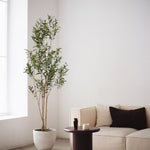 Olivo artificial Flair 180 cm MAIA SHOP