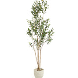 Olivo artificial Flair 180cm MAIA SHOP hide