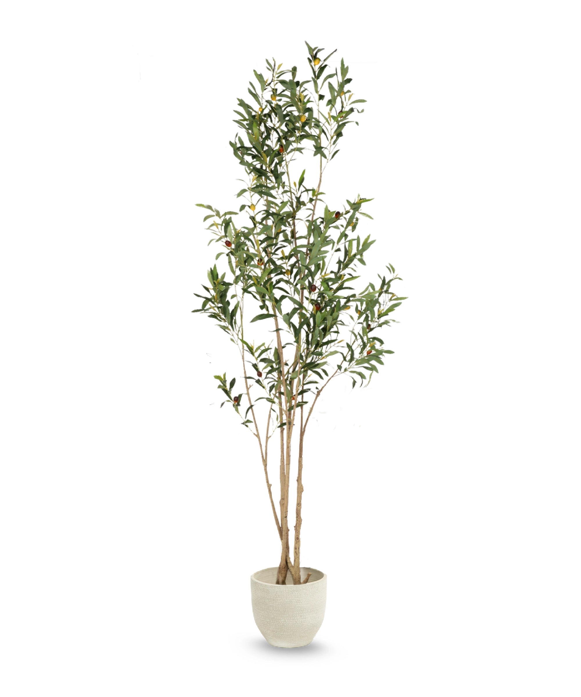 Olivo artificial Flair 180cm MAIA SHOP hide