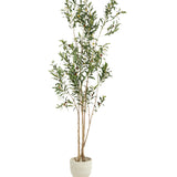 Olivo artificial Flair 210 cm MAIA SHOP hide