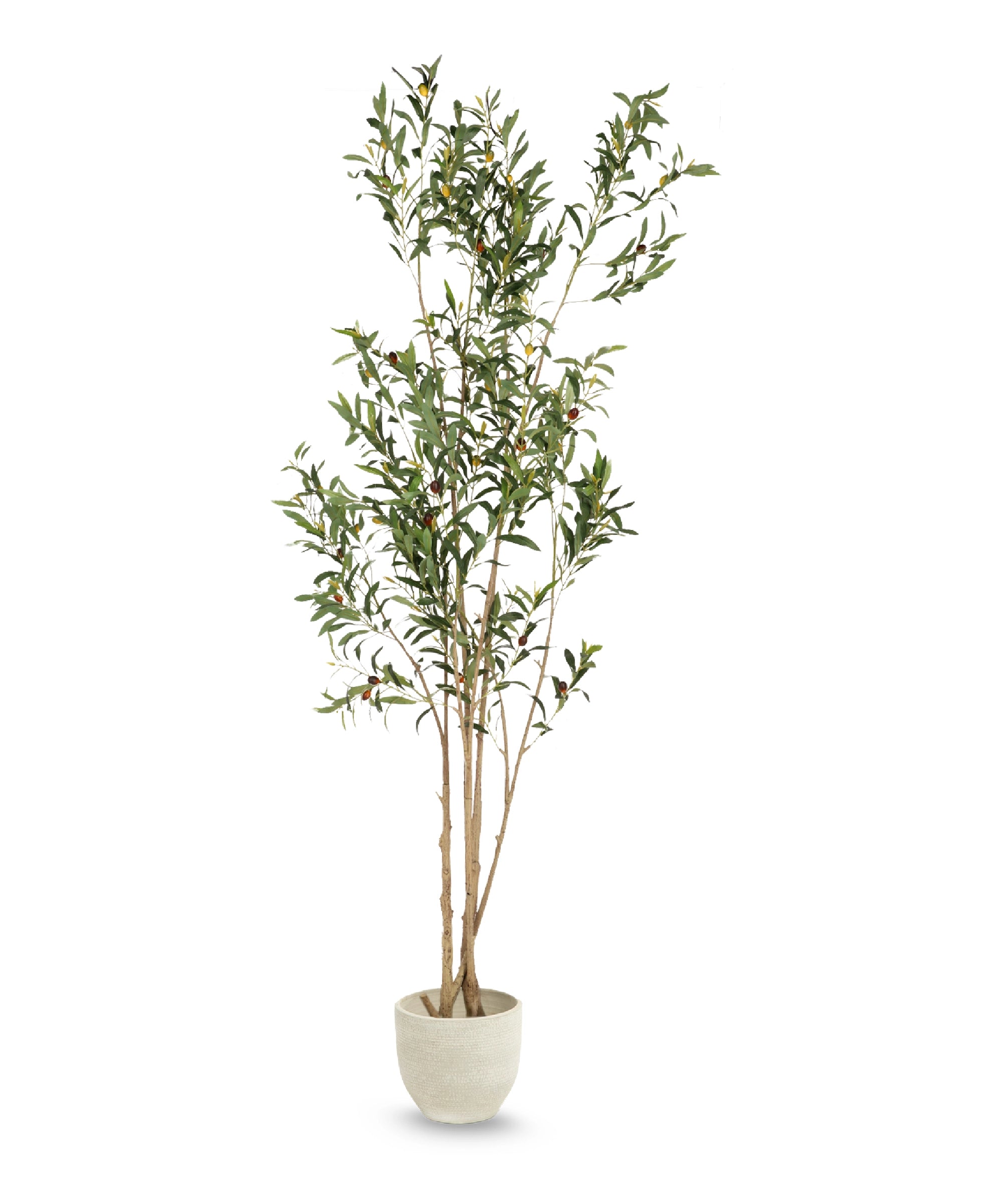 Olivo artificial Flair 210 cm MAIA SHOP hide