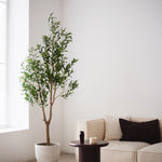 Olivo artificial Moon 180 cm MAIA SHOP