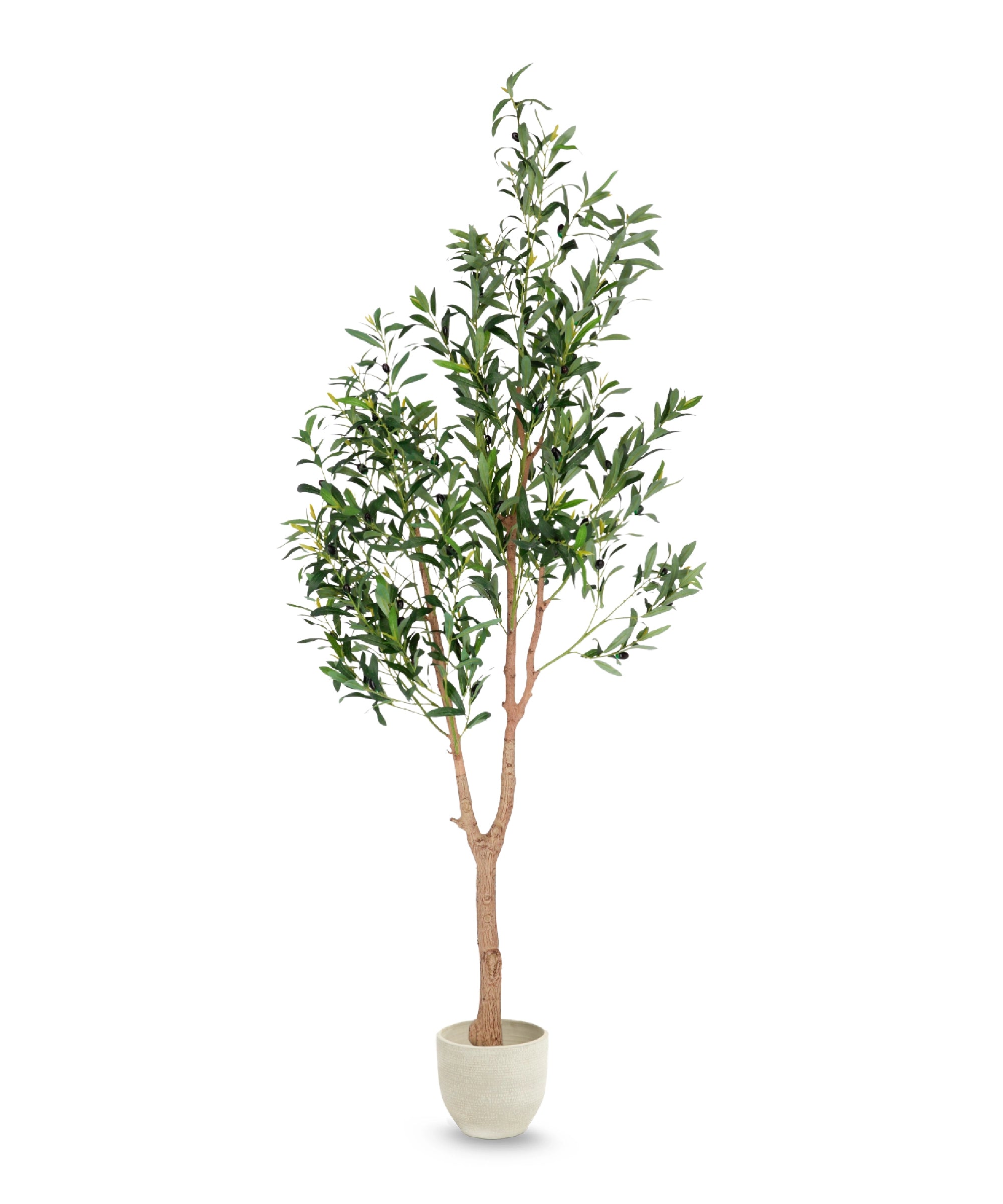 Olivo artificial Moon 180cm MAIA SHOP