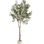 Olivo artificial Moon 210cm MAIA SHOP