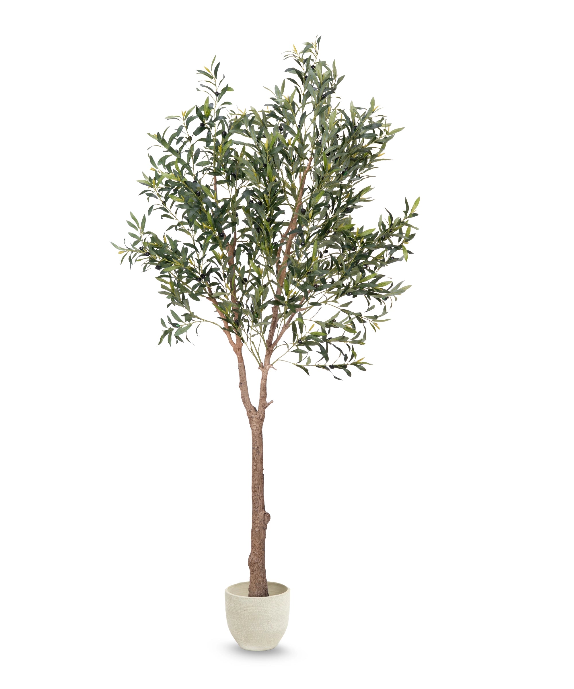 Olivo artificial Moon 210cm MAIA SHOP