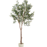 Olivo artificial Moon 210cm MAIA SHOP hide