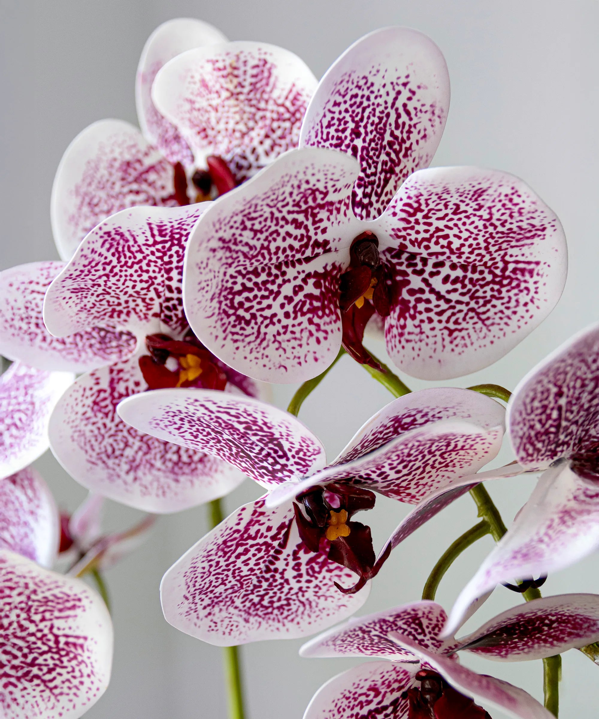 Orquídea artificial Blanca y Rosa detalle