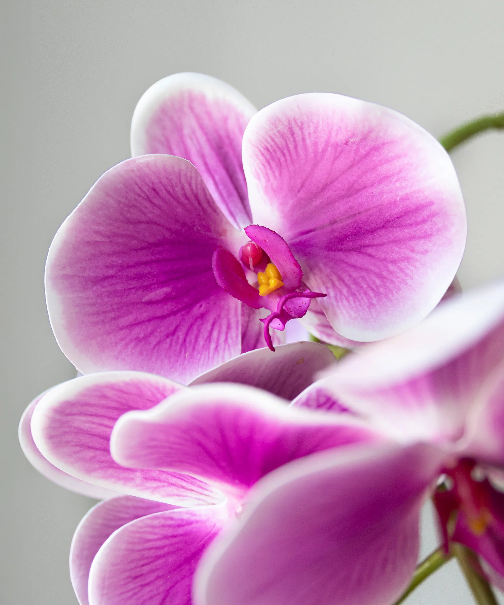 Orquídea artificial Fucsia MAIA SHOP