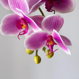 Orquídea artificial Fucsia MAIA SHOP Detalle