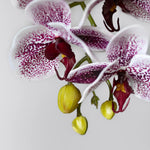 Orquídea artificial  MAIA SHOP Detalle Flor