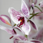 Orquídea artificial  MAIA SHOP Detalle Flor Blanca y Rosa