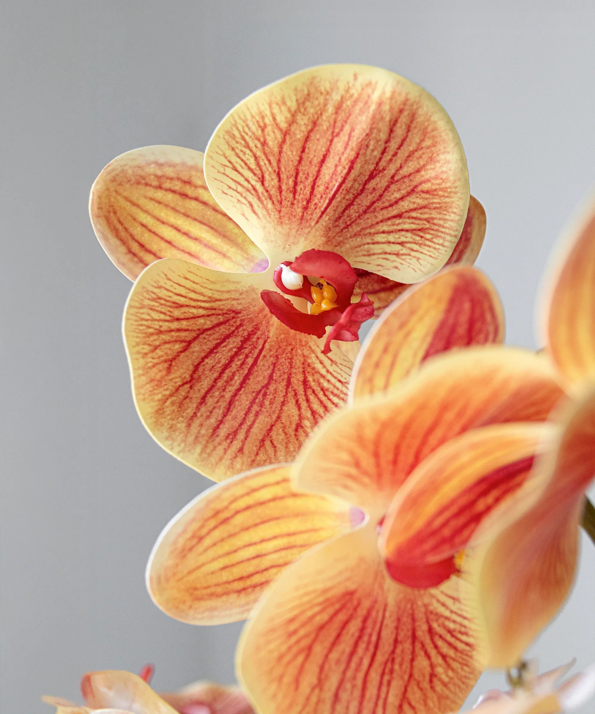 Orquídea artificial Naranja MAIA SHOP
