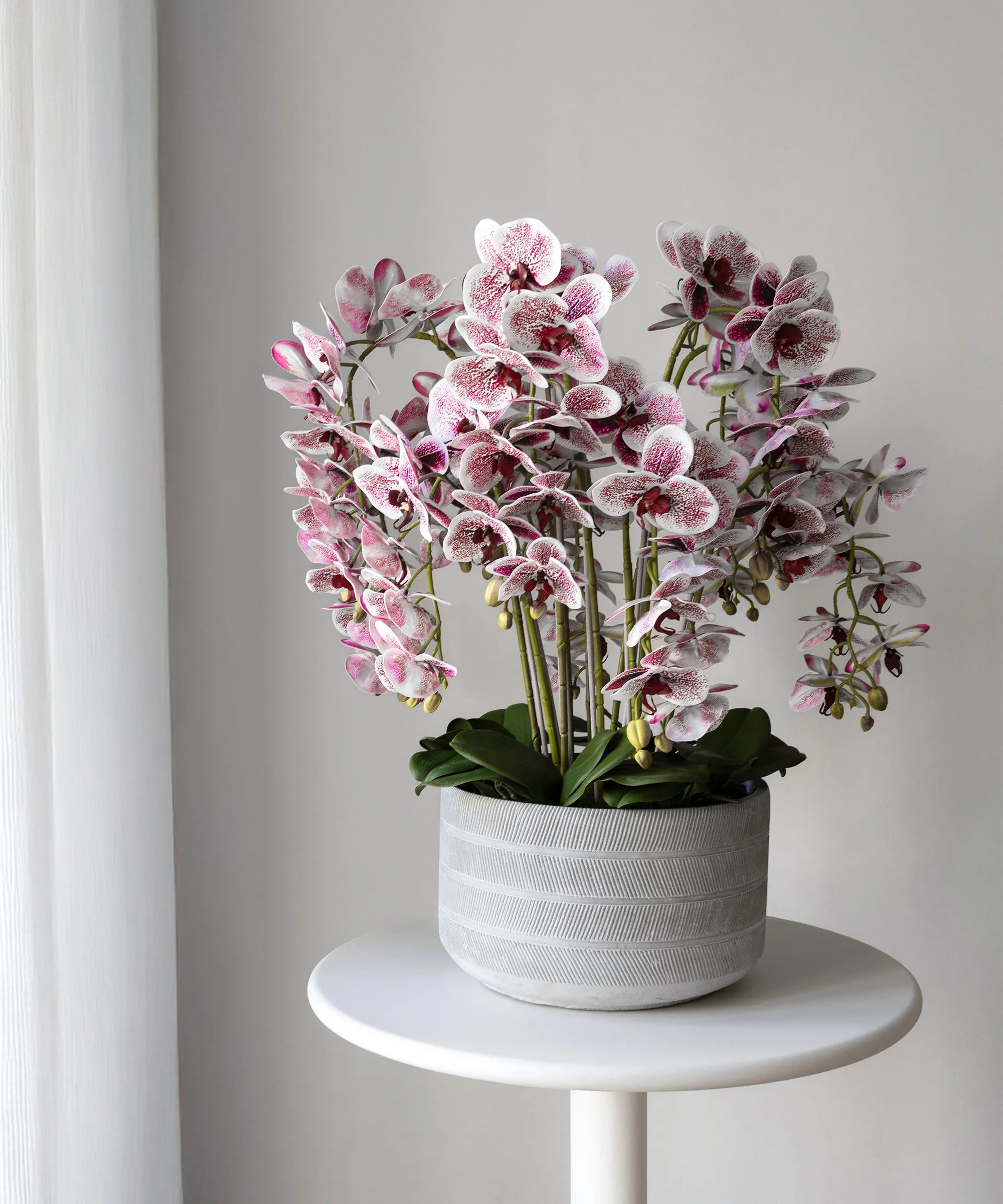 Orquídea artificial con Maceta de cerámica Lina