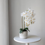 Orquídea artificial con Maceta de cerámica Noa Blanca