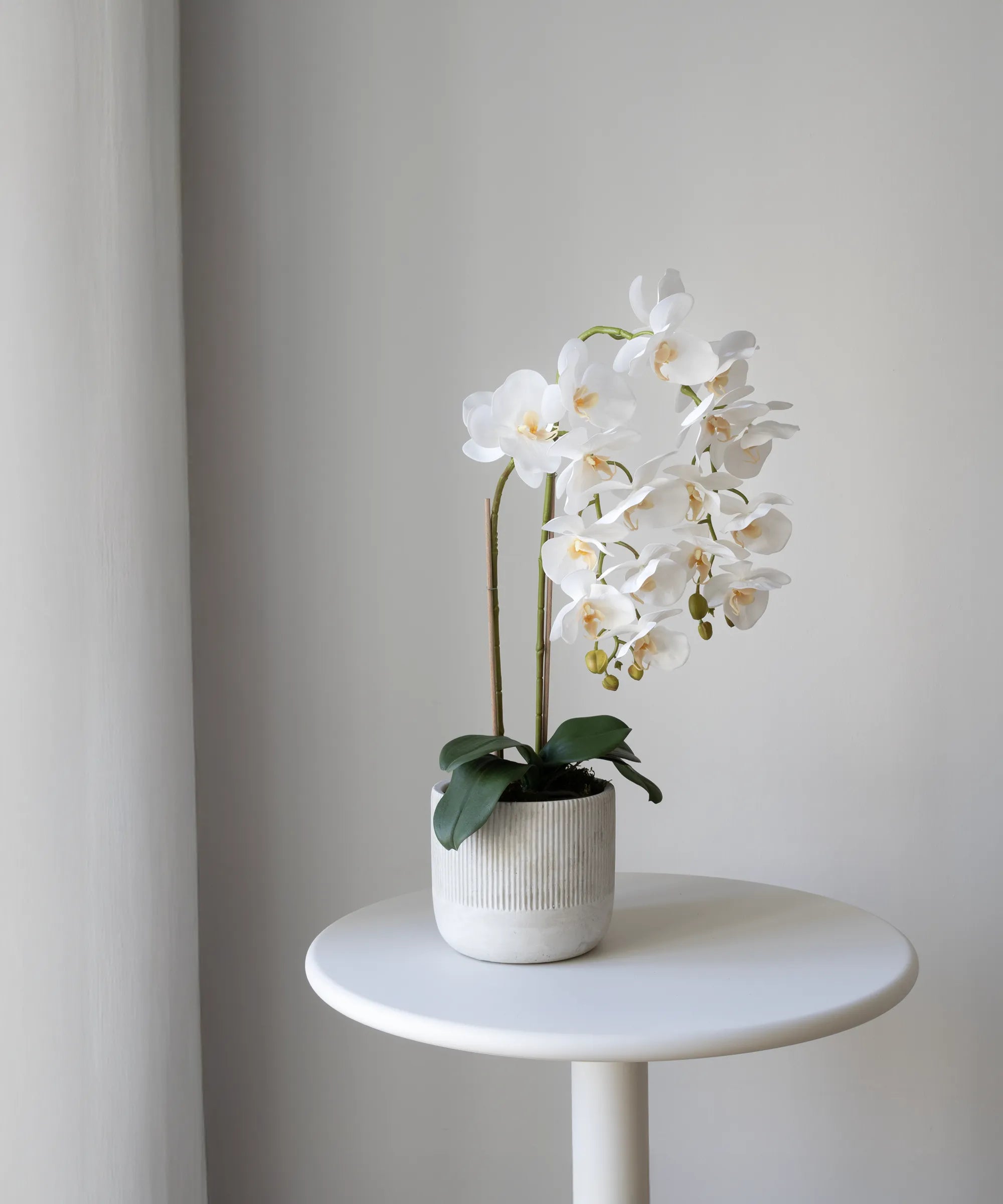 Orquídea artificial con Maceta de cerámica Noa Blanca