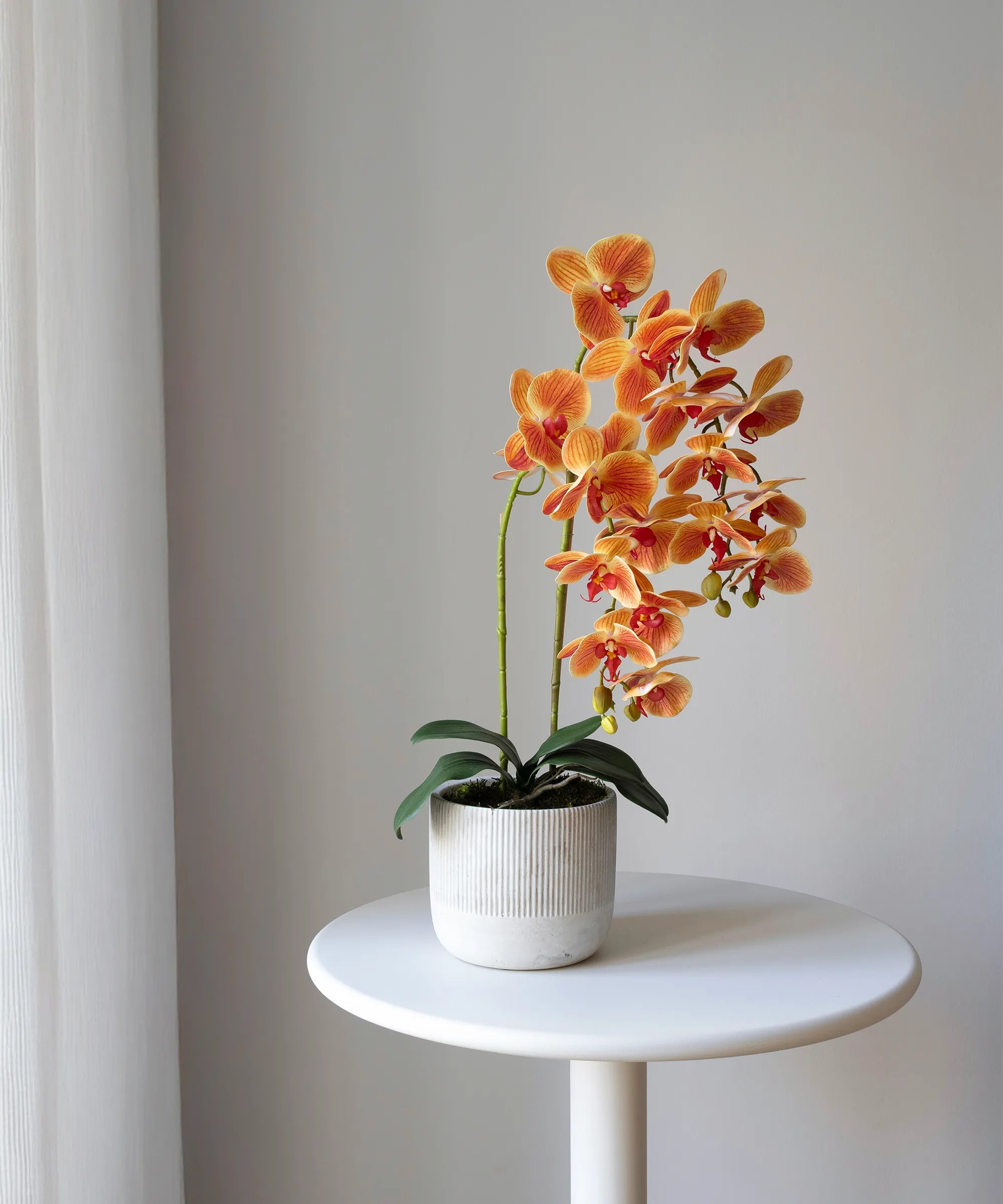 Orquídea artificial con Maceta de cerámica Noa MAIA SHOP