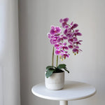 Orquídea artificial con Maceta de cerámica Noa Rosa