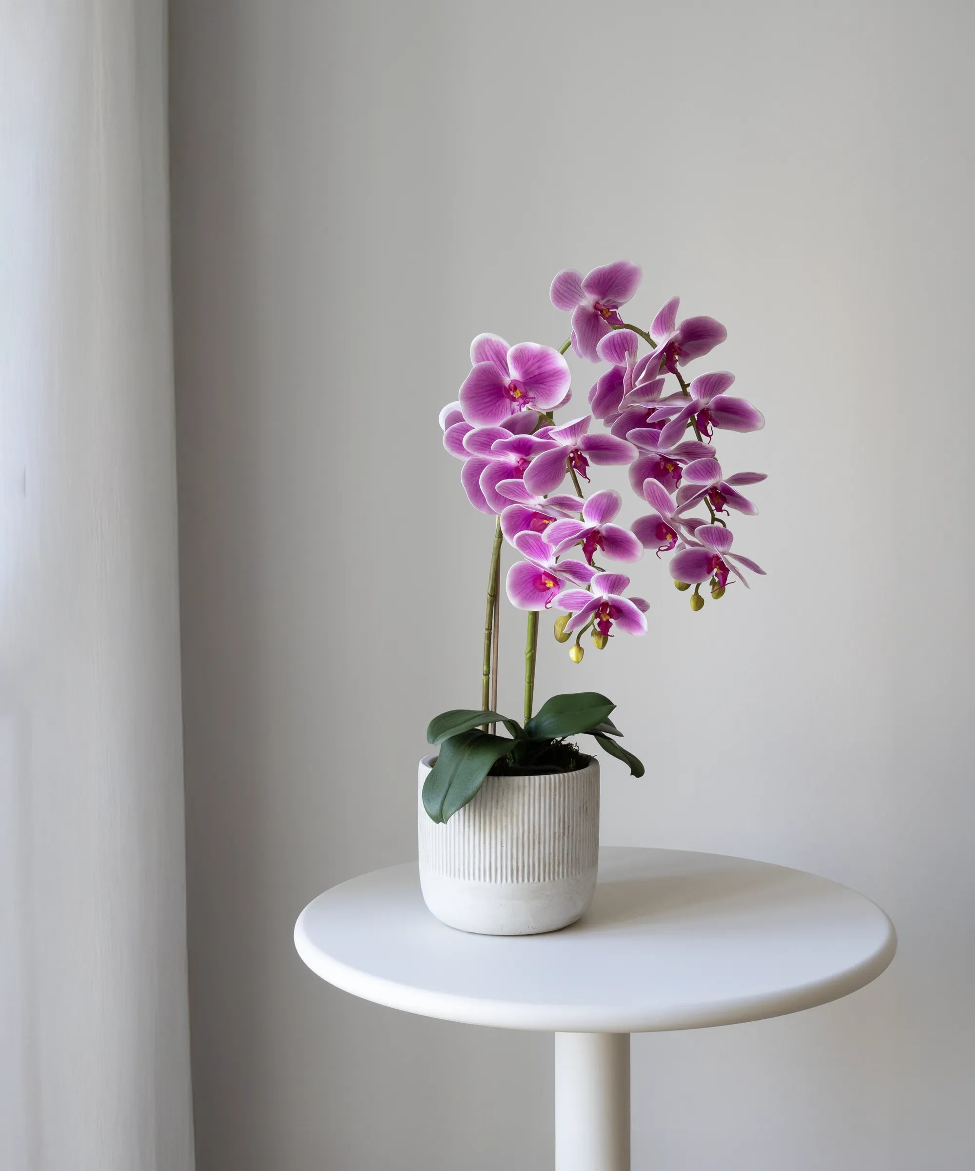 Orquídea artificial con Maceta de cerámica Noa Rosa