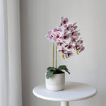 Orquídea artificial con Maceta de cerámica Noa Violeta