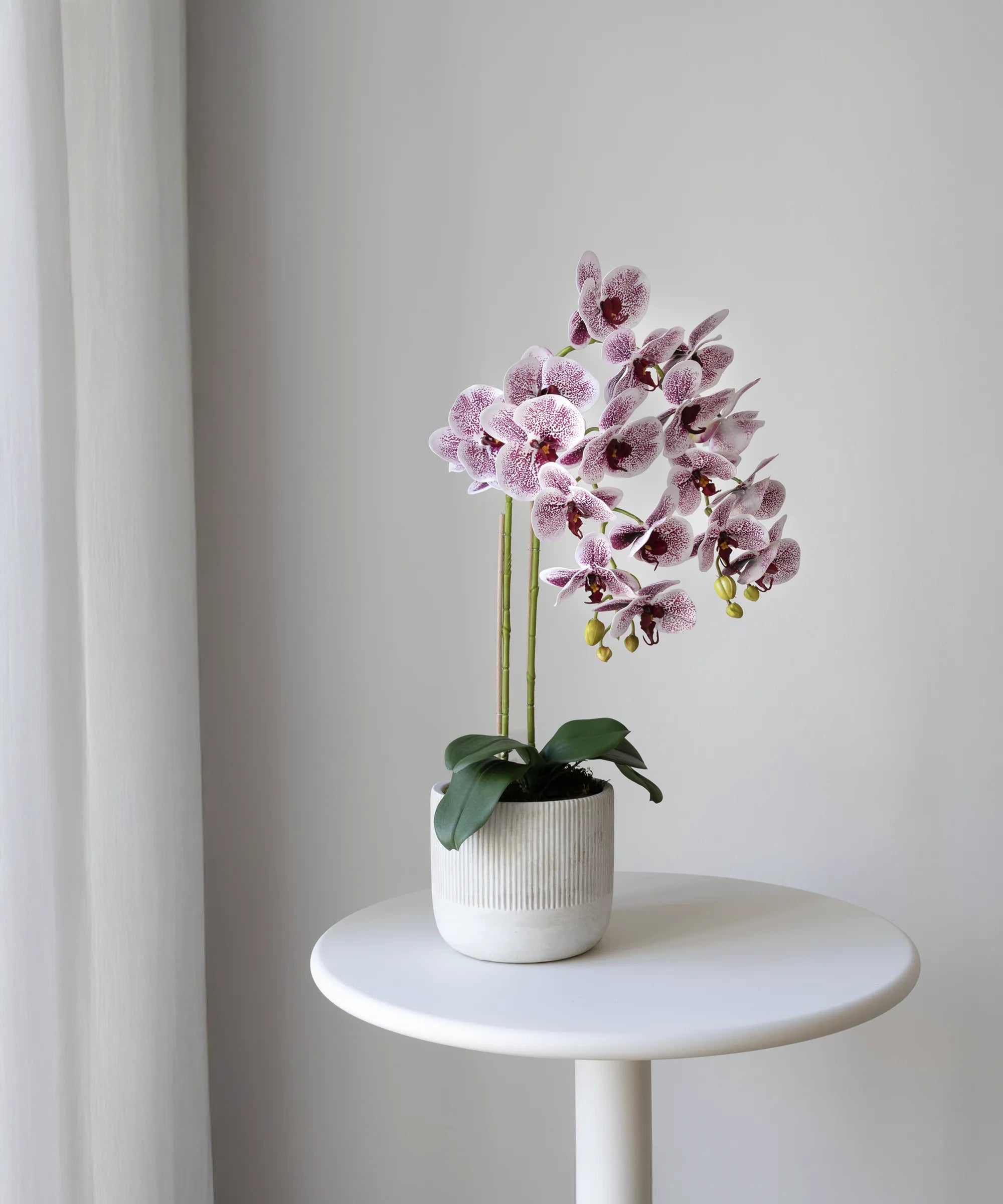 Orquídea artificial con Maceta de cerámica Noa Violeta