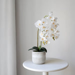 Orquídea artificial con Maceta de cerámica Royal Blanca