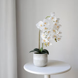 Orquídea artificial con Maceta de cerámica Royal Blanca
