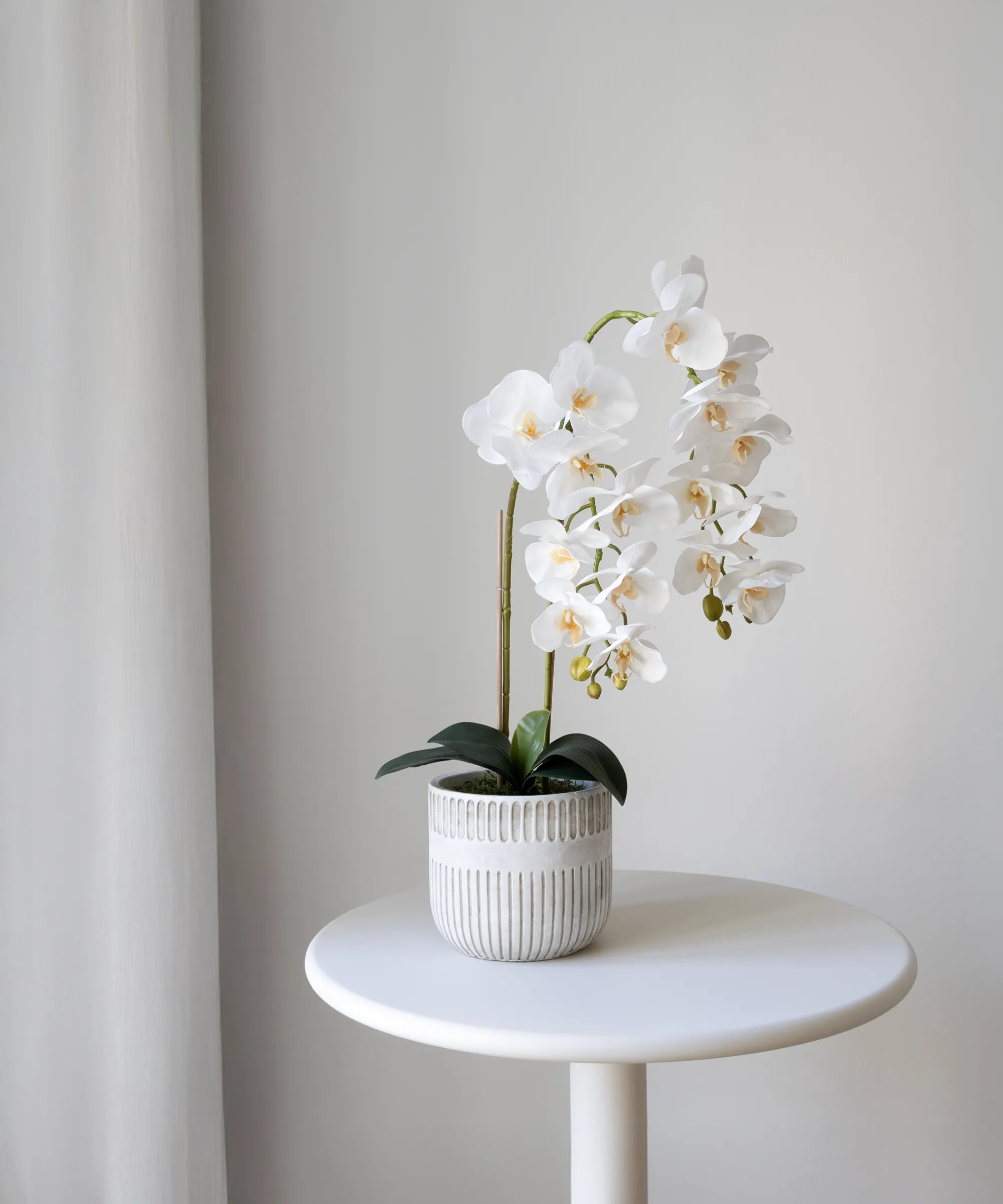 Orquídea artificial con Maceta de cerámica Royal Blanca