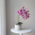Orquídea artificial con Maceta de cerámica Royal MAIA SHOP