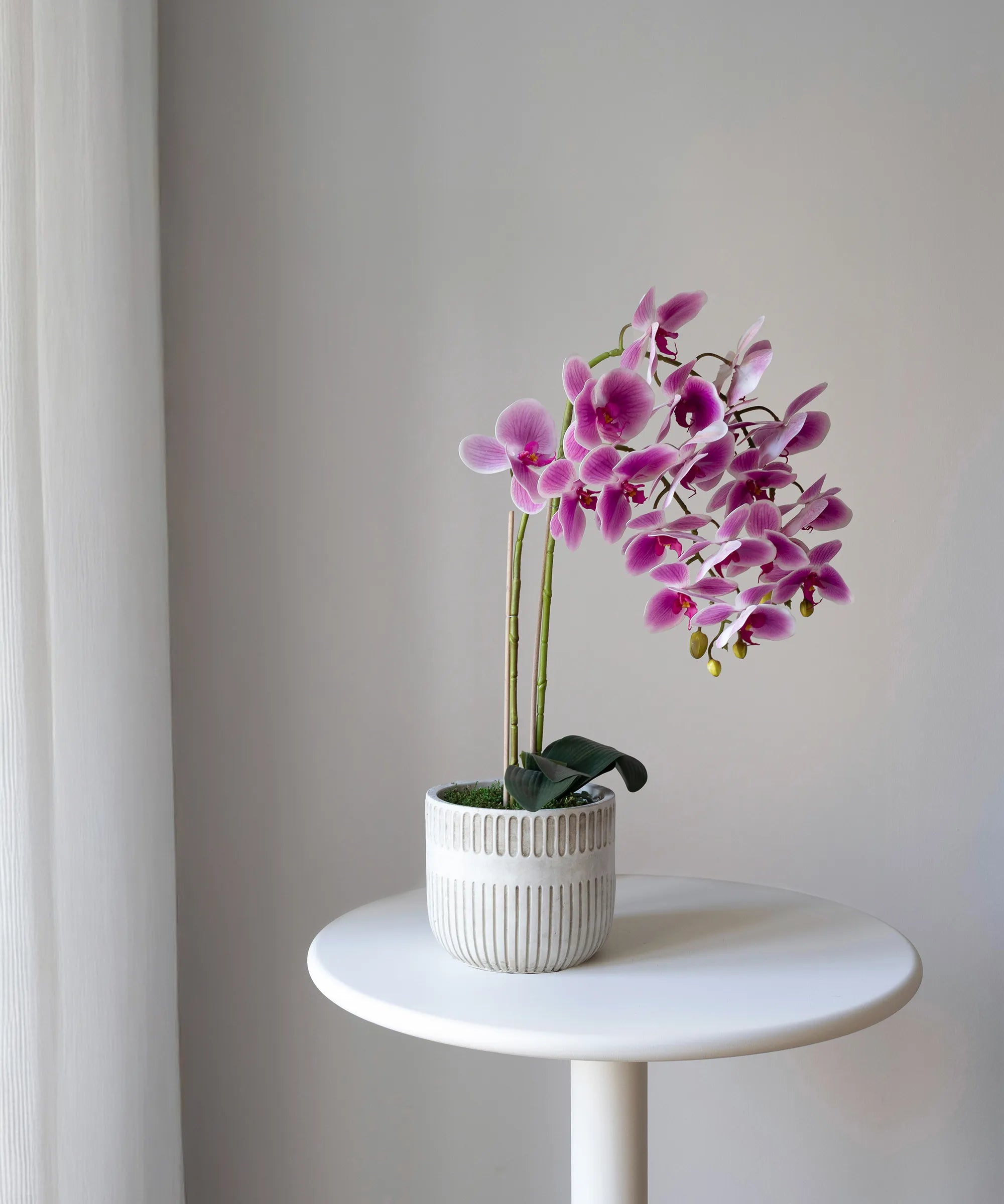 Orquídea artificial con Maceta de cerámica Royal MAIA SHOP